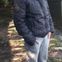 Or Gershon