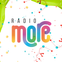 Radio MORE.FM