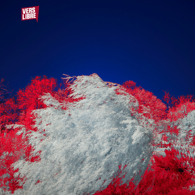 NXT LVL (2026.05.16)