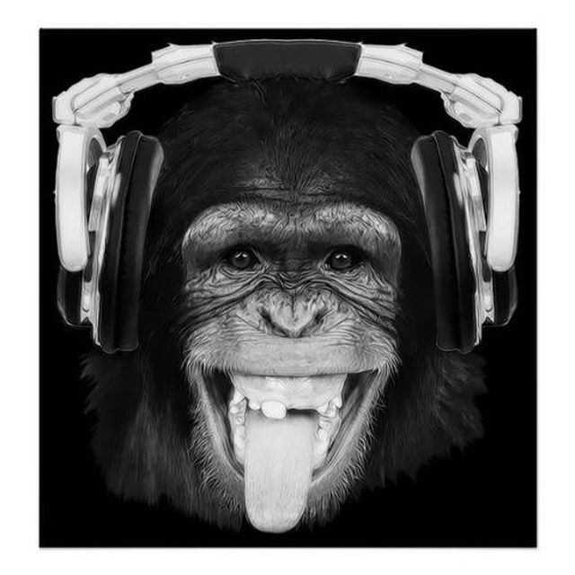 Mixcloud profile picture for @lout