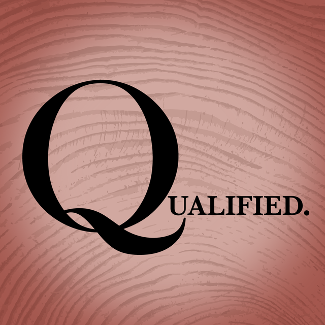Mixcloud profile picture for @qualified