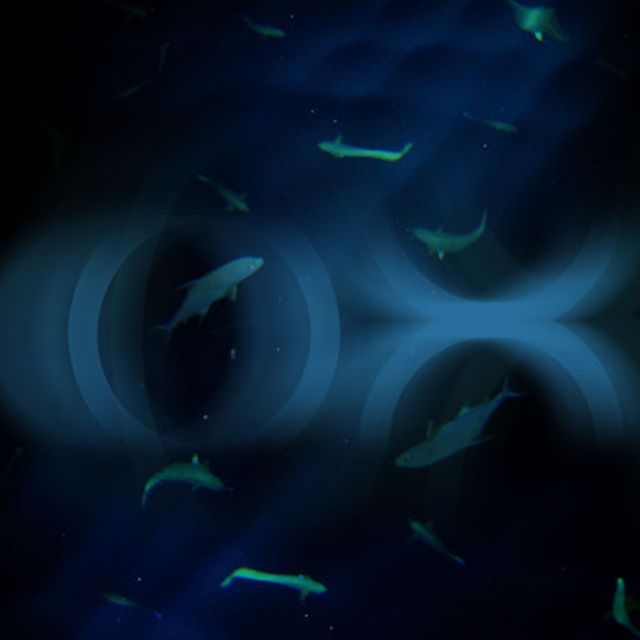 Mixcloud profile picture for @OX