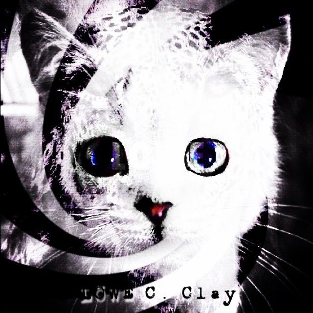 Mixcloud profile picture for @lowe