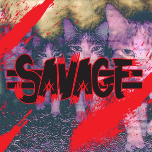 Mixcloud profile picture for @SAVAGE