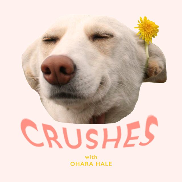 Mixcloud profile picture for @CRUSHES