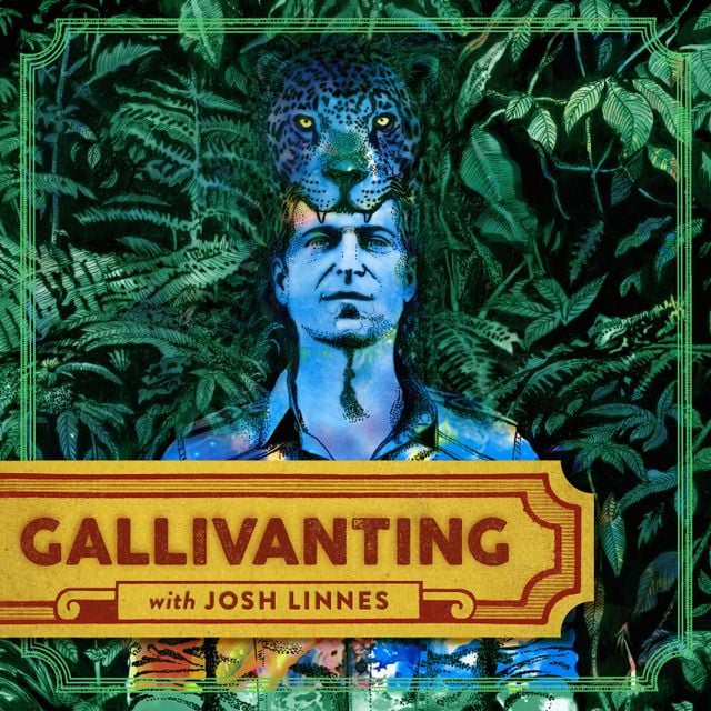 Mixcloud profile picture for @gallivanting