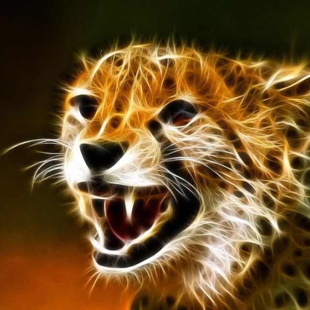 Mixcloud profile picture for @Cheetah