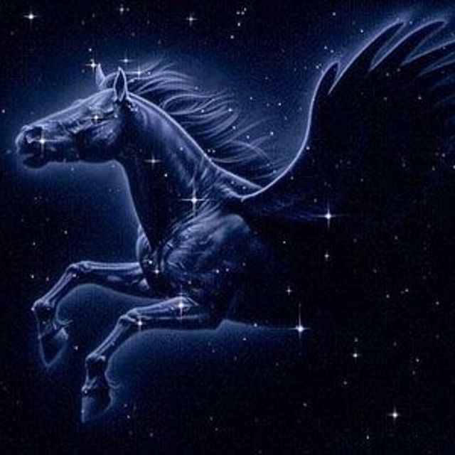 Mixcloud profile picture for @pegasus