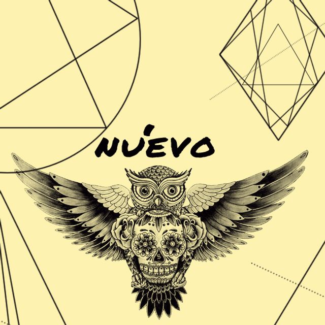 Mixcloud profile picture for @NUevo