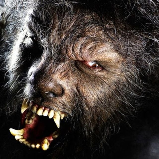 Mixcloud profile picture for @werewolf