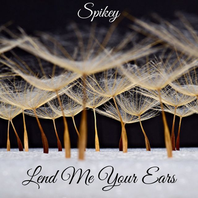 Mixcloud profile picture for @Spikey