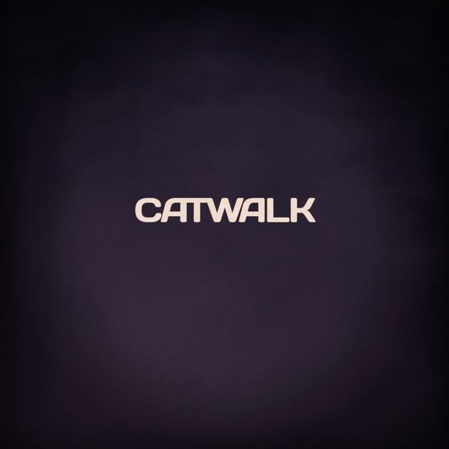 Mixcloud profile picture for @catwalk