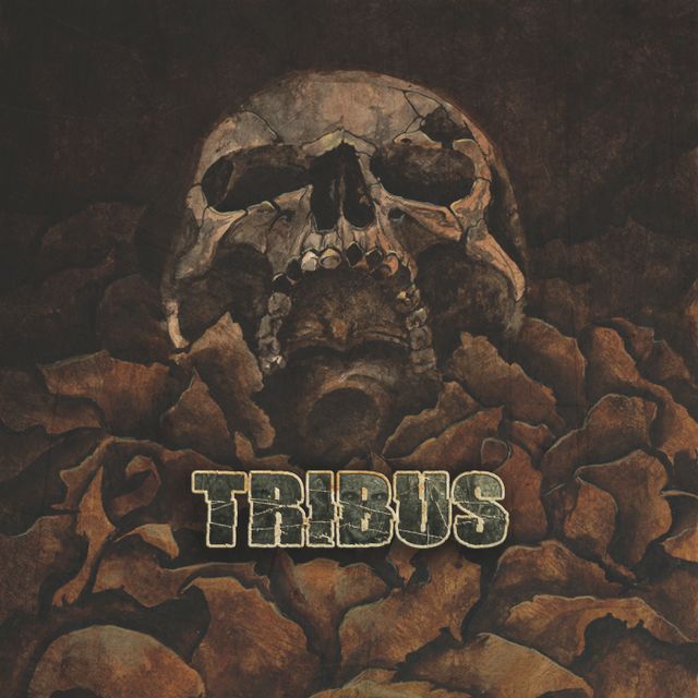 Mixcloud profile picture for @Tribus
