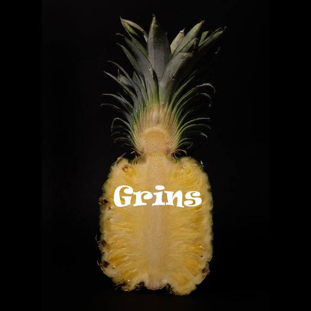 Mixcloud profile picture for @Grins
