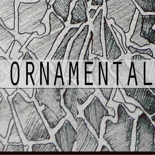 Mixcloud profile picture for @Ornamental