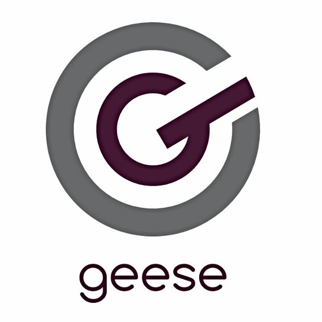 Mixcloud profile picture for @geese