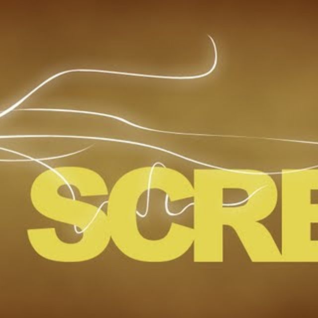 Mixcloud profile picture for @Screw