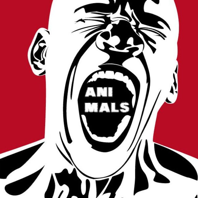 Mixcloud profile picture for @animals