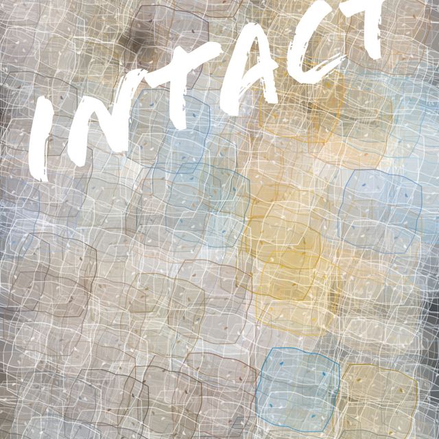 Mixcloud profile picture for @Intact