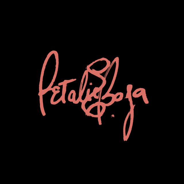 Mixcloud profile picture for @Petals