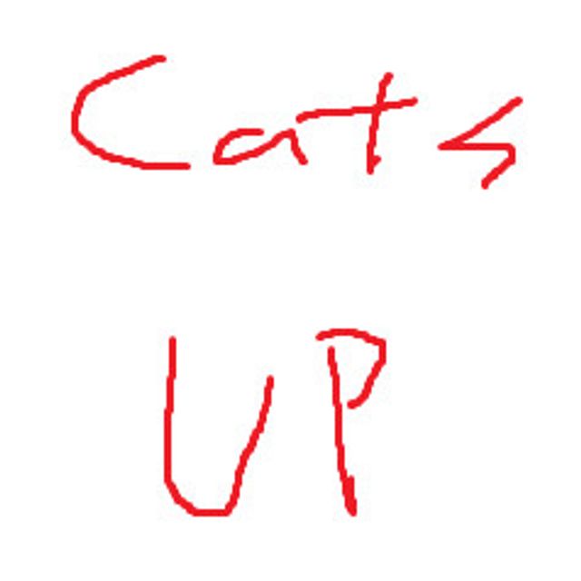 Mixcloud profile picture for @catsup