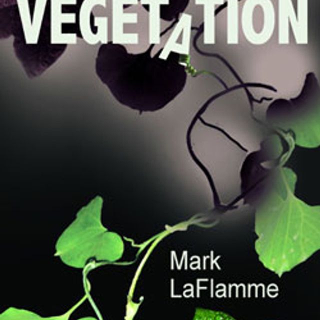 Mixcloud profile picture for @vegetation