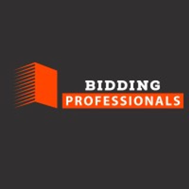 Mixcloud profile picture for @bidding