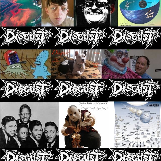 Mixcloud profile picture for @DISGUST