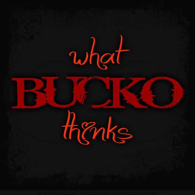Mixcloud profile picture for @bucko