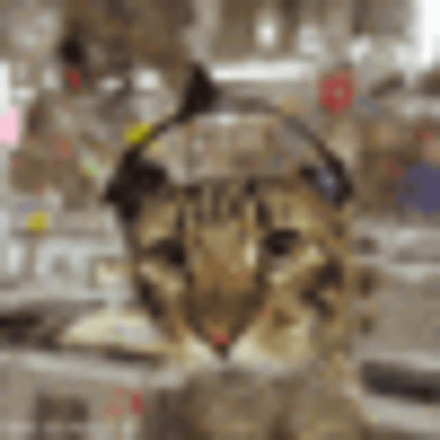 Mixcloud profile picture for @Tattered