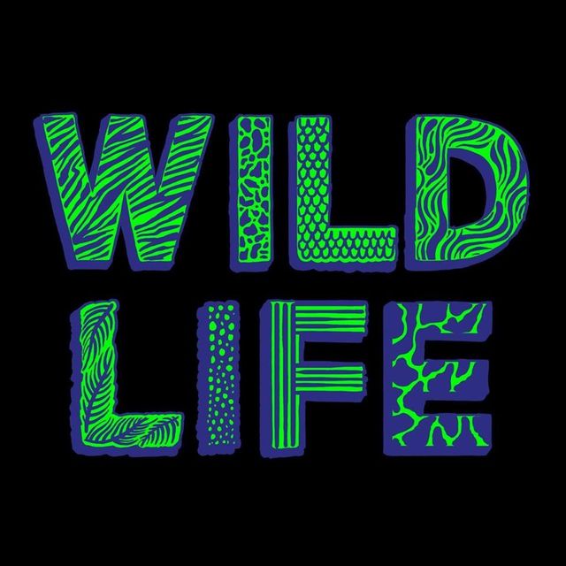 Mixcloud profile picture for @WILDLIFE