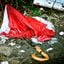 Broken Umbrella 4
