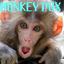 zwacki @ monkey pox