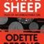 The Wyn Thomas File talks to author Odette Debono about her debut novel White Sheep