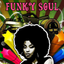 Dirty Funky Soul To The Bone