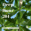 Deep Hour with Sal - Vol.204