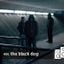 Soundwall Podcast #459: The Black Dog