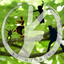 Ysmathegos - Invited to dance in Ethnothopia -
