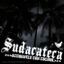 SUDACATECA >Accidentes con Cocinol<