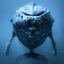 Music From 'Humpback Whales: A Detective Story'