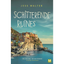 Schitterende ruïnes - Jess Walter