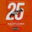 DOPE 25