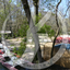 Ysmathegos - Spring Recreation -