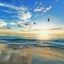 Adrift in the Morning