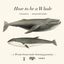 How To Be A Whale - Tom Mustill & Vahakn Gehlhaar Matossian