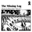 The Missing Log (2013)