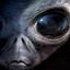 fR3ZA - Flow of Thoughts [NEURO DNB][2022]