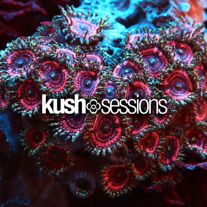 KushSessions - #010 Liquid Love (Liquid Drum & Bass Mix 2021)