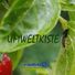 Umweltkiste profile image