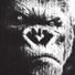 srbe profile image